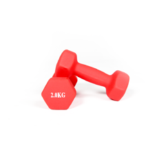 Neoprenbeschichtete Kurzhantel für Bodybuilding und Fitness | 2 kg